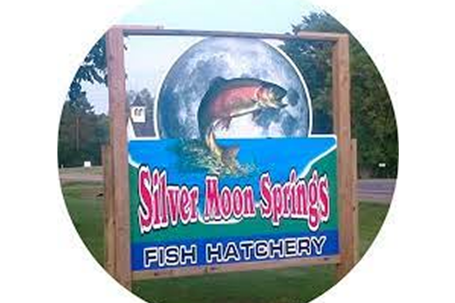 silver moon springs
