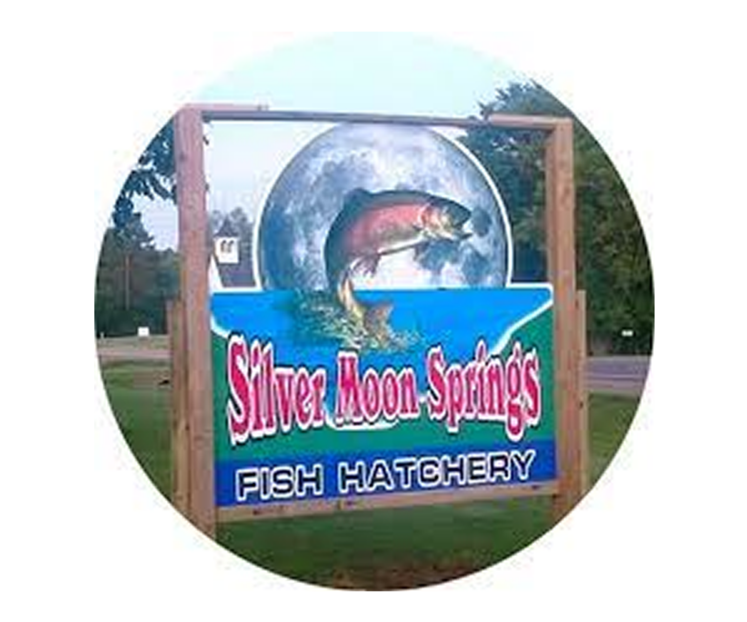 silver moon springs