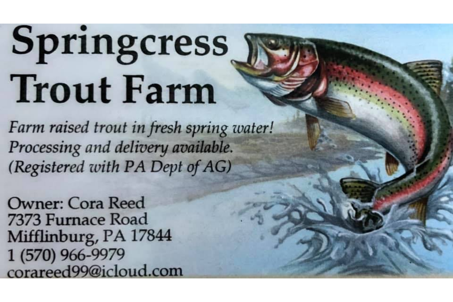 springcress