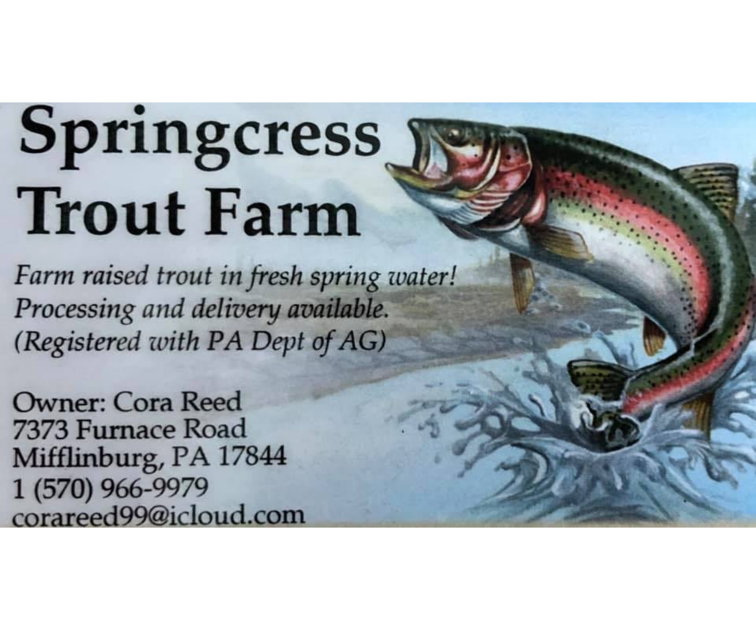 springcress