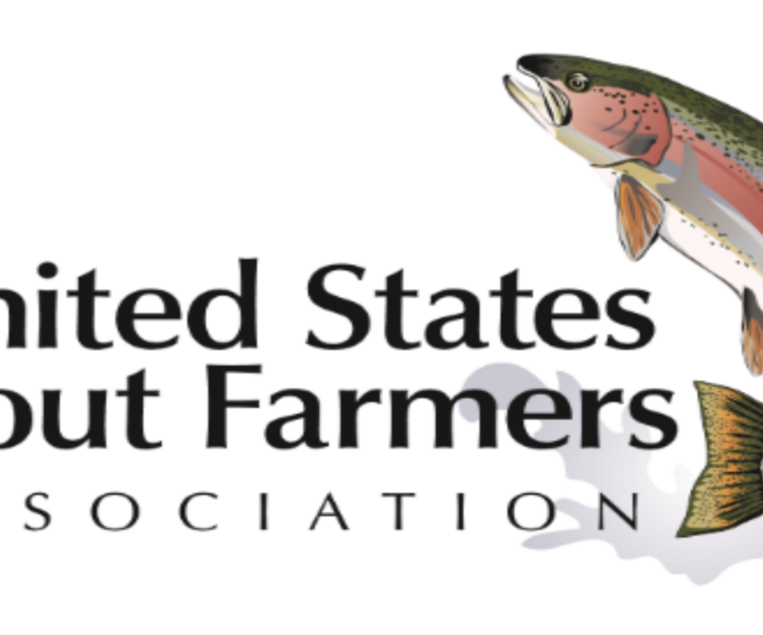 USTFA Old Logo