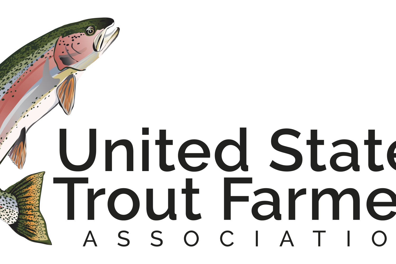 Logo01