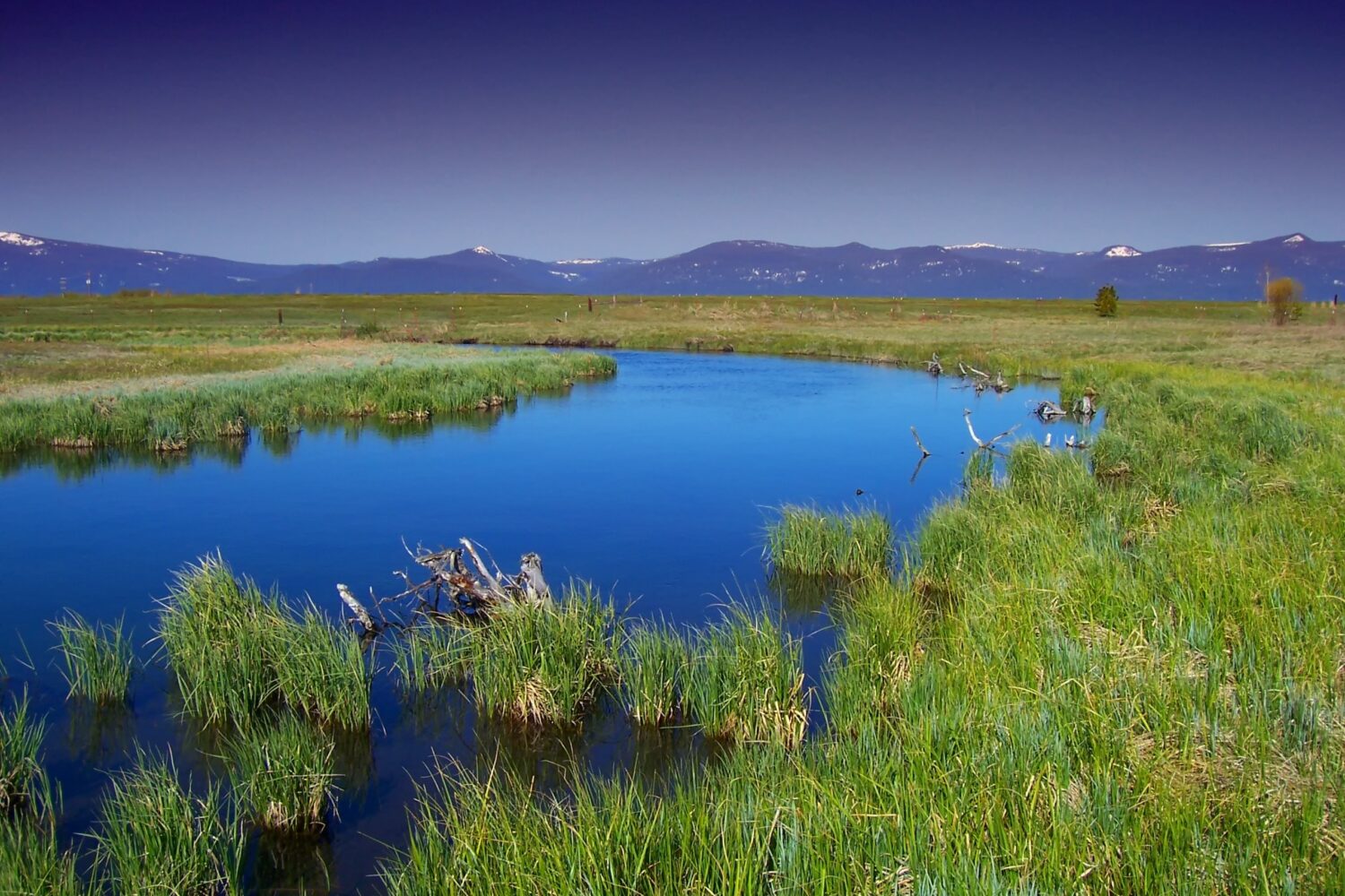 landscape water nature grass marsh wilderness 1025650 pxhere.com 
