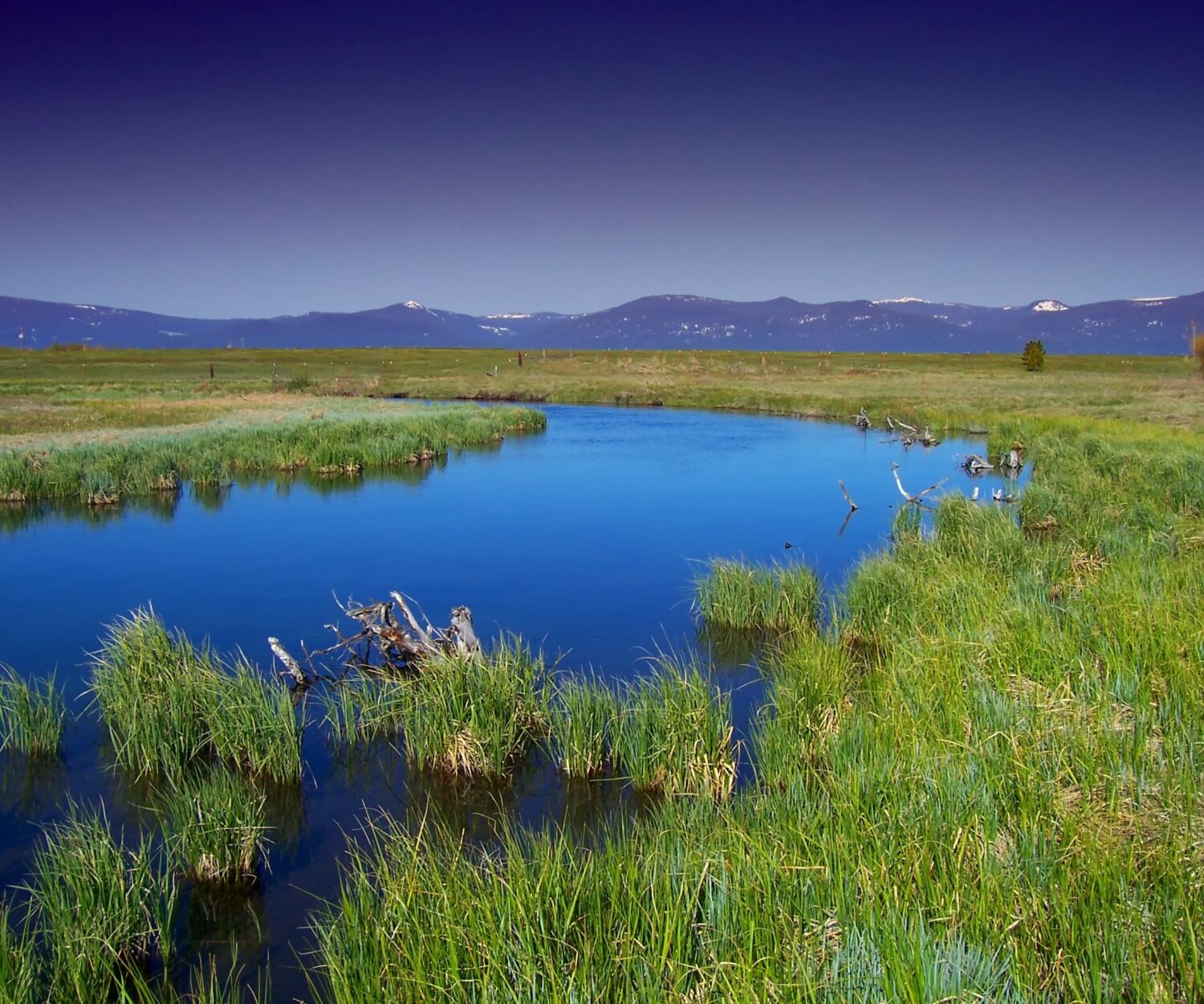 landscape water nature grass marsh wilderness 1025650 pxhere.com 