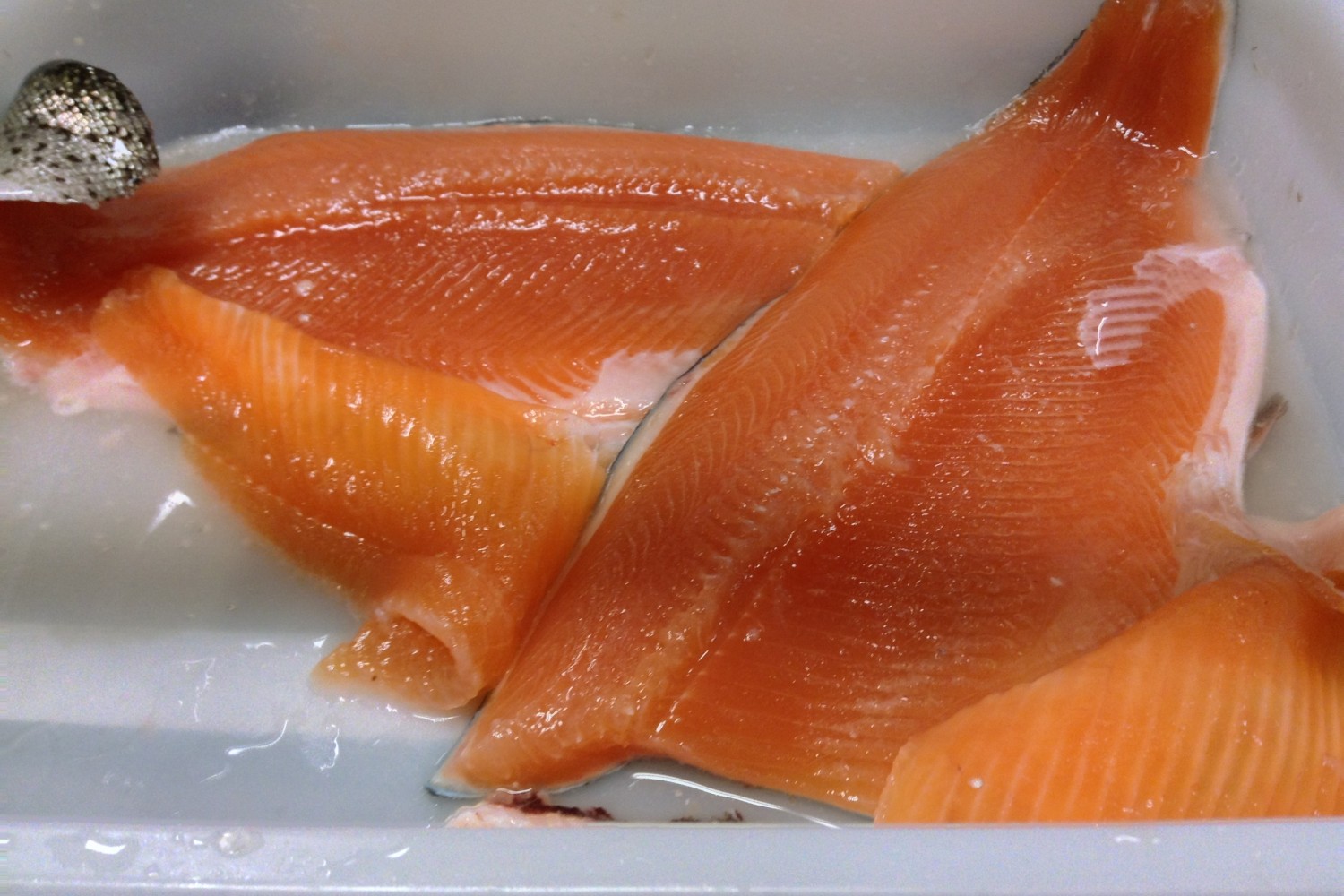 nice fillet