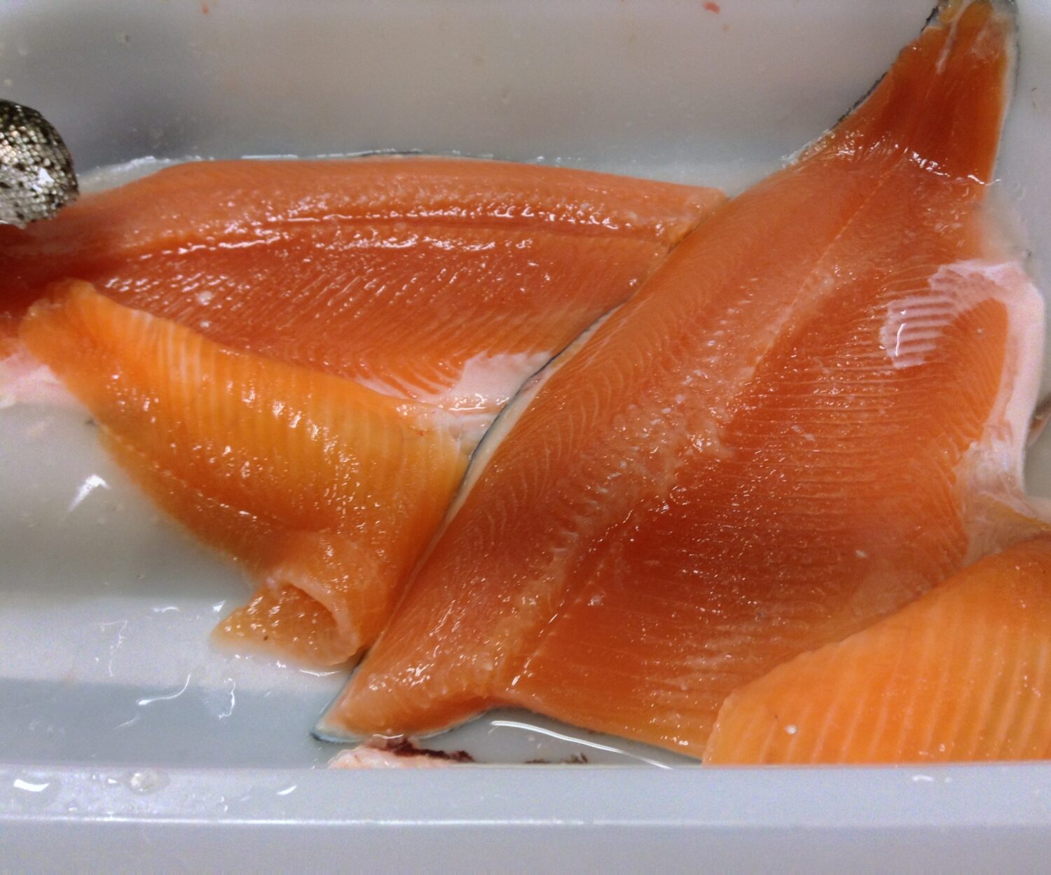 nice fillet