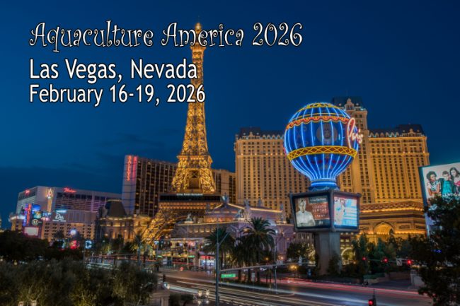 AA2026 Collage 750x520